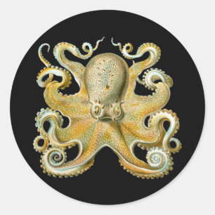 Octopus Classic Round Sticker