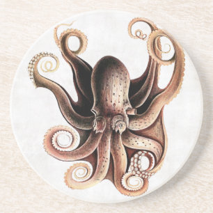 Octopus Coaster