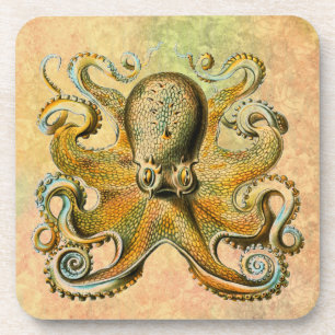 Octopus Coaster