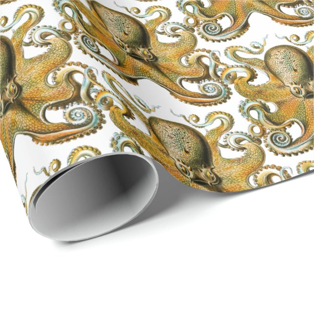 Octopus Drawing Vintage Tentacles Wrapping Paper (Roll Corner)