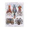 Octopus Educational Plate Postcard