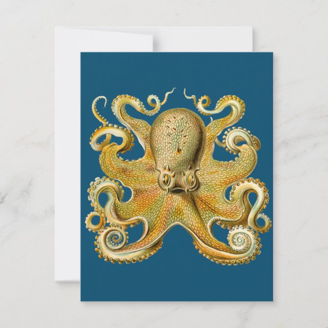 Octopus - Ernst  Haeckel's Card (Front)