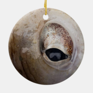 Octopus Eye Ceramic Tree Decoration