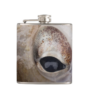Octopus Eye Hip Flask