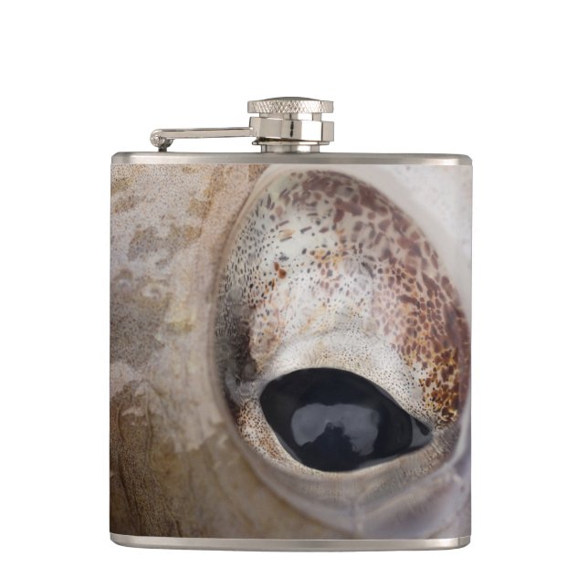 Octopus Eye Hip Flask (Front)