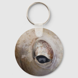 Octopus Eye Key Ring