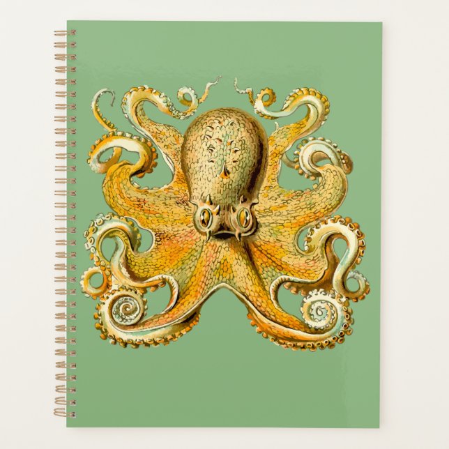 Octopus Gold and Blue Spiral Planner  (Front)