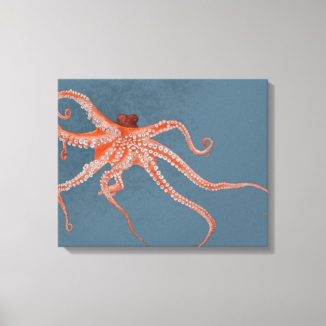 Octopus Hugs Canvas Print (Front)