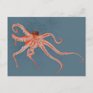 Octopus Hugs Postcard
