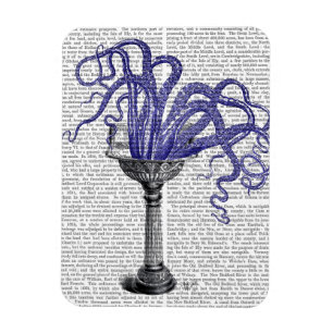 Octopus in Sink Magnet