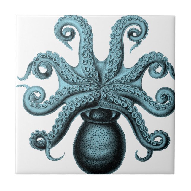 Octopus in Teal Tile (Front)