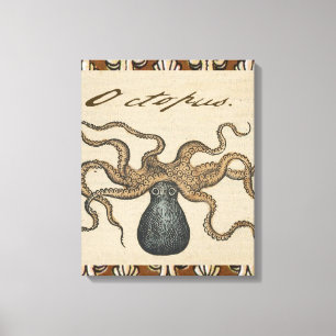 Octopus Kraken Antique Coastal Marine Wildlife Canvas Print