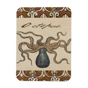Octopus Kraken Antique Coastal Marine Wildlife Magnet