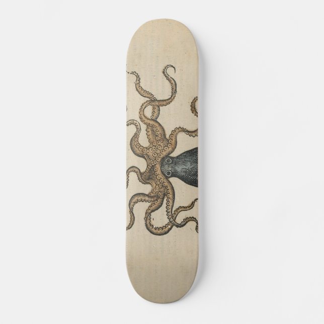 Octopus Kraken Antique Coastal Marine Wildlife Skateboard (Front)