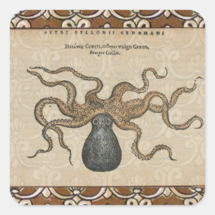 Octopus Kraken Antique Coastal Marine Wildlife Square Sticker