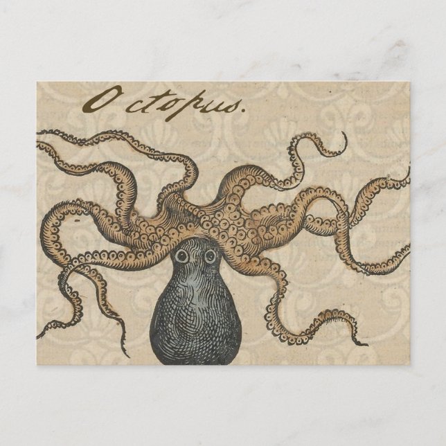 Octopus Kraken Vintage Illustration Postcard (Front)