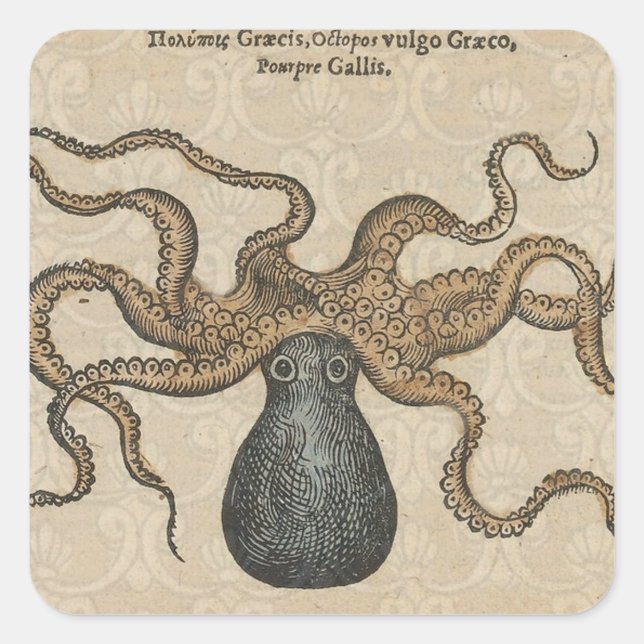 Octopus Kraken Vintage Illustration Square Sticker (Front)