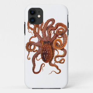 Octopus Macropus Atlantic White Spotted Octopus iPhone 11 Case