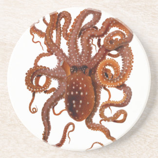 Octopus Macropus Atlantic White Spotted Octopus Coaster