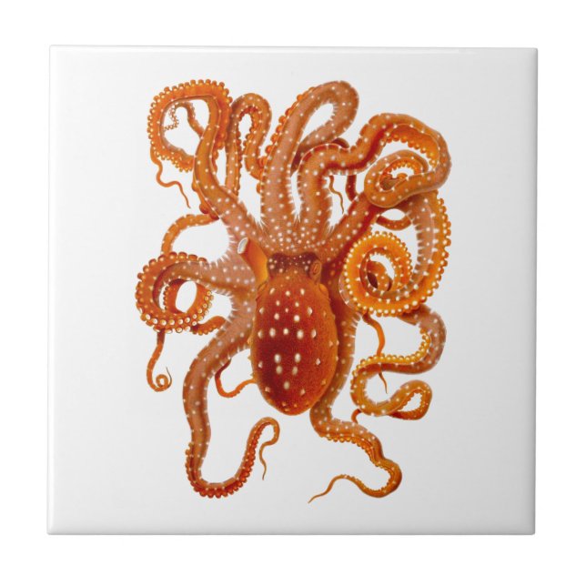 Octopus No.6 Cephalopod Sea Creature Art Tile (Front)