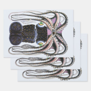 Octopus or Giant Squid, Vintage Marine Life Animal Wrapping Paper Sheet