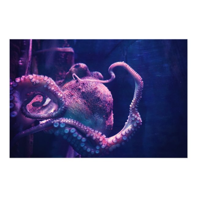 Octopus Photo Print (Front)