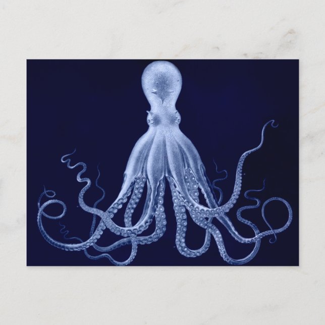 Octopus Postcard (Front)