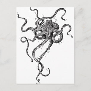 Octopus Postcard