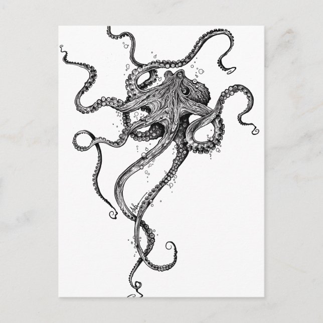 Octopus Postcard (Front)