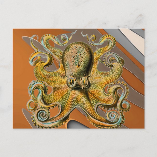 Octopus Postcard (Front)