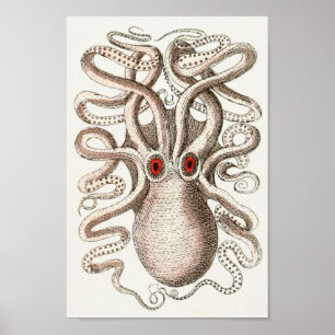 Octopus Red Eye Cephalopod Sea Creatures Art Print