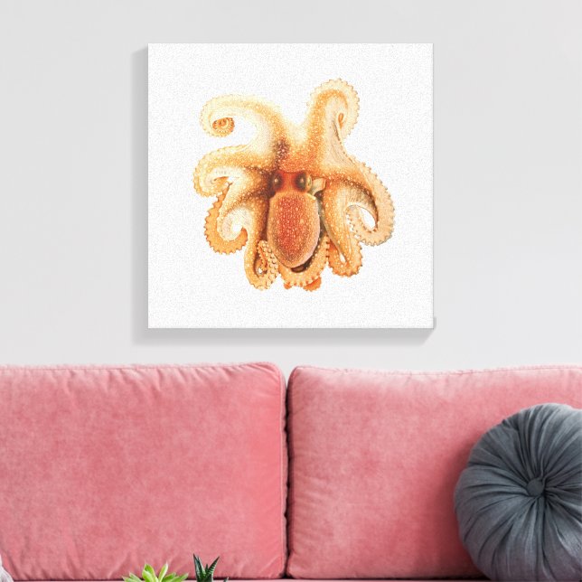 Octopus Salutii, Vintage Marine Aquatic Animals Canvas Print (Insitu(LivingRoom))