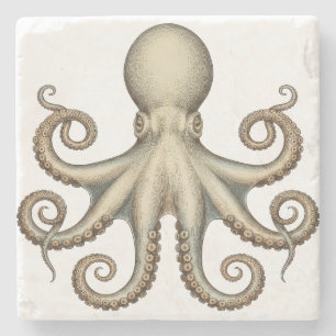 Octopus scientific diagram unique artwork retro stone coaster