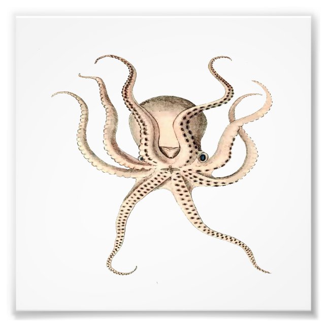 Octopus Sea, Beach, Nautical Bathroom Photo Print (Front)