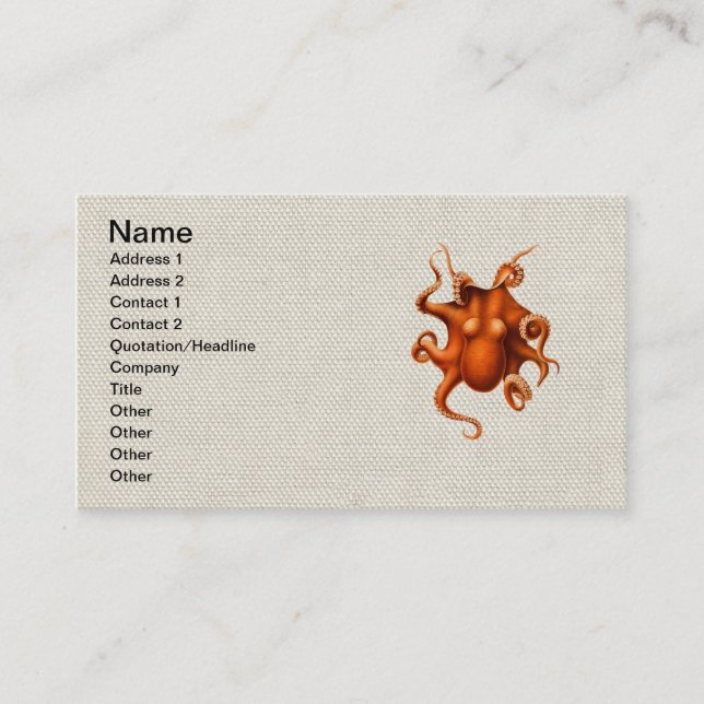 Octopus Sea Monster Creature Cephalapod Vintage Business Card (Front)