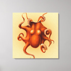 Octopus Sea Monster Creature Cephalapod Vintage Canvas Print