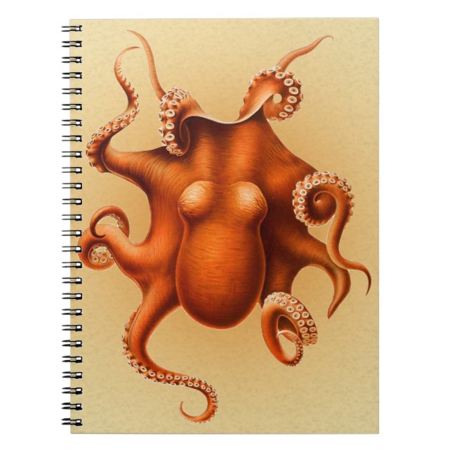 Octopus Sea Monster Creature Cephalapod Vintage Notebook (Front)