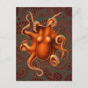 Octopus Sea Monster Creature Cephalapod Vintage Postcard