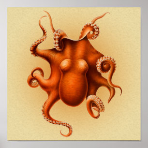 Octopus Sea Monster Creature Cephalapod Vintage Poster