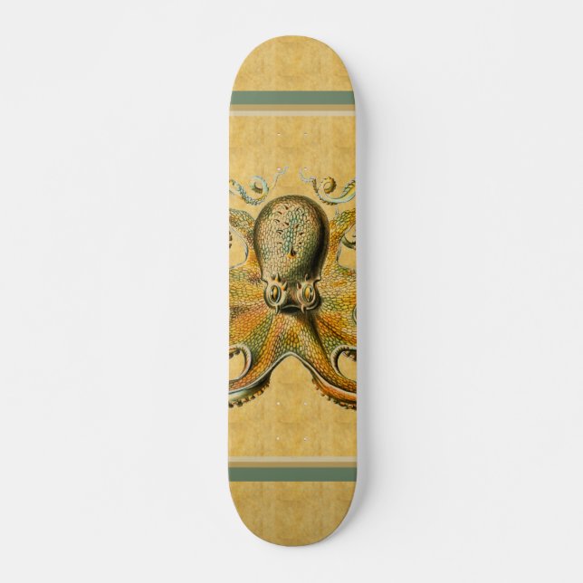 Octopus Skateboard (Front)