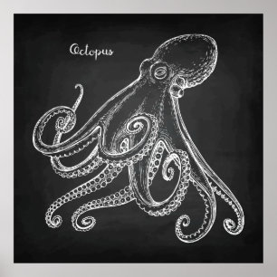 Octopus Sketch Poster