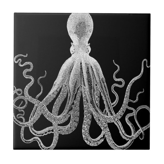 octopus sketch tile (Front)