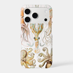 Octopus Squid, Gamochonia by Ernst Haeckel