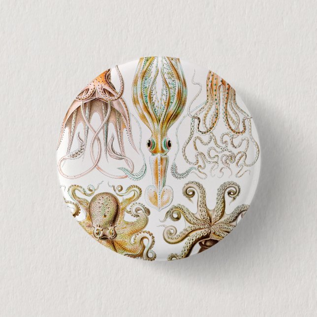 Octopus Squid, Gamochonia by Ernst Haeckel 3 Cm Round Badge (Front)