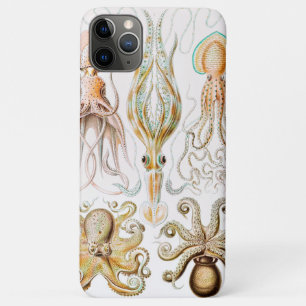 Octopus Squid, Gamochonia by Ernst Haeckel iPhone 11 Pro Max Case