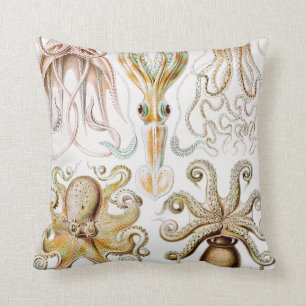 Octopus Squid, Gamochonia by Ernst Haeckel Cushion