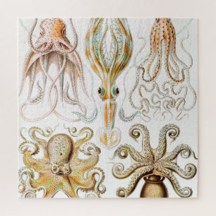 Octopus Squid, Gamochonia by Ernst Haeckel Jigsaw Puzzle