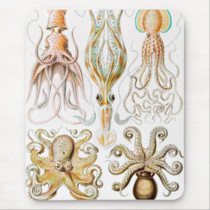 Octopus Squid, Gamochonia by Ernst Haeckel Mouse Mat