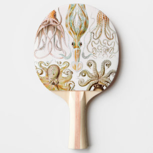 Octopus Squid, Gamochonia by Ernst Haeckel Ping Pong Paddle