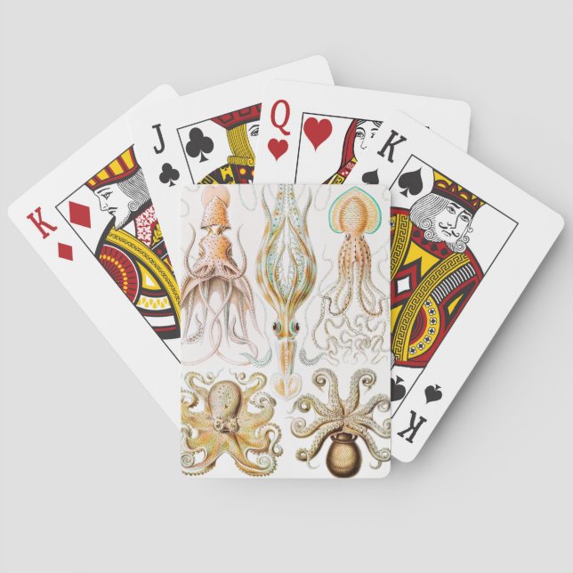 Octopus Squid, Gamochonia by Ernst Haeckel Playing Cards (Back)